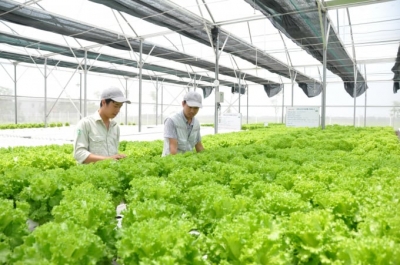 Developing high-tech agricultural workers in the process of industrialization and modernization of agriculture and rural areas