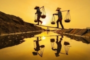 Social security for Vietnamese farmers