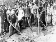 Chủ tịch Hồ Chí Minh kế thừa và phát triển sáng tạo văn hóa truyền thống dân tộc trong bảo vệ môi trường tự nhiên