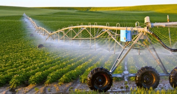 Phát triển nông nghiệp công nghệ cao: Những rào cản và giải pháp khắc phục